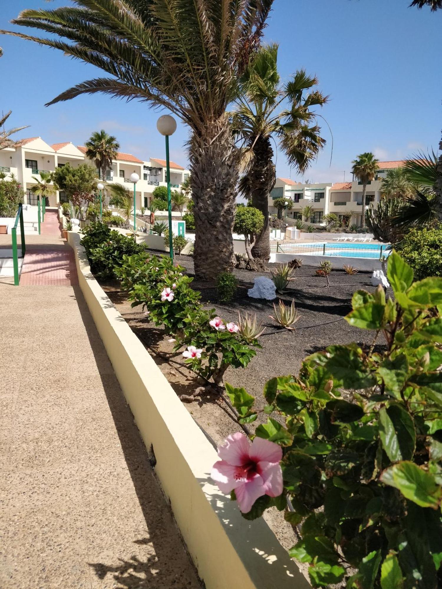 דירות קוסטה דה אנטיגואה Casa Anita מראה חיצוני תמונה